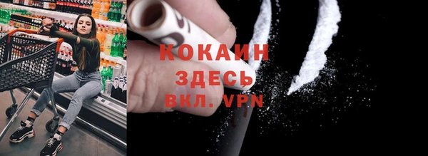 спайс Корсаков