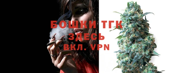 гашик Болотное