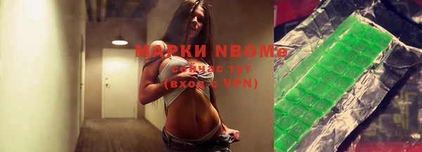 гашик Болотное