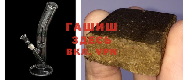 гашик Болотное