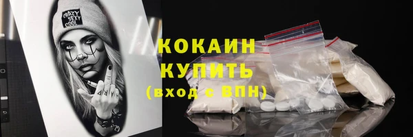 гашик Болотное