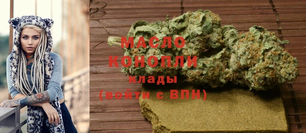 гашик Болотное