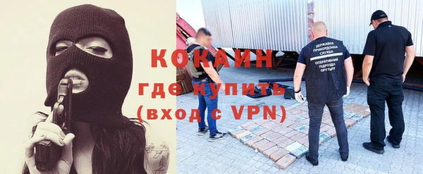 гашик Болотное