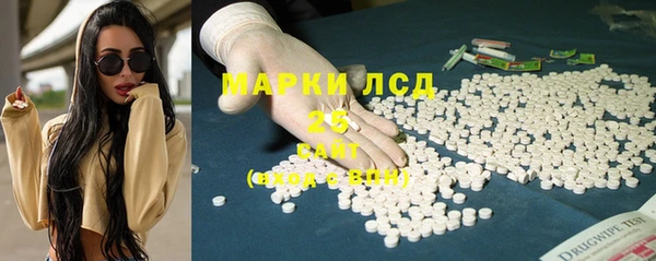 гашик Болотное