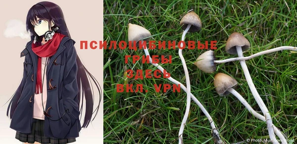 MESCALINE Болохово
