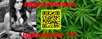 спайс Аргун