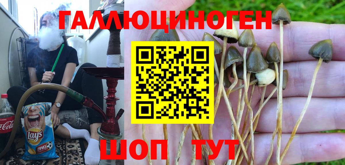 Галлюциногенные грибы ЛСД  наркотики  Балахна 